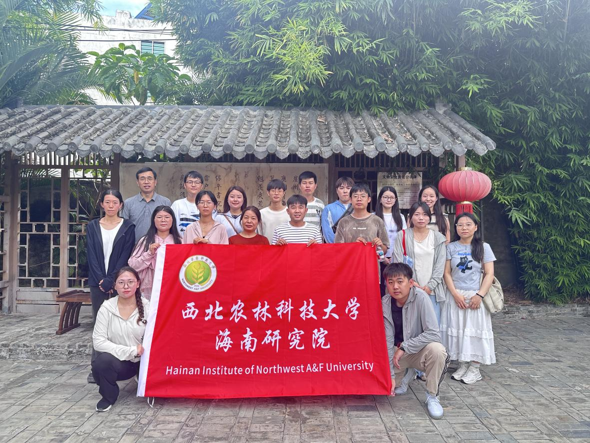 图片1.png