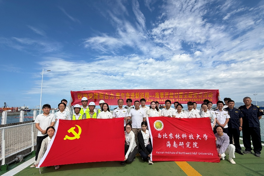 图片 1.png