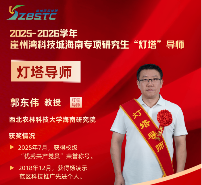 喜报｜祝贺郭东伟老师荣获“灯塔”导师称号！